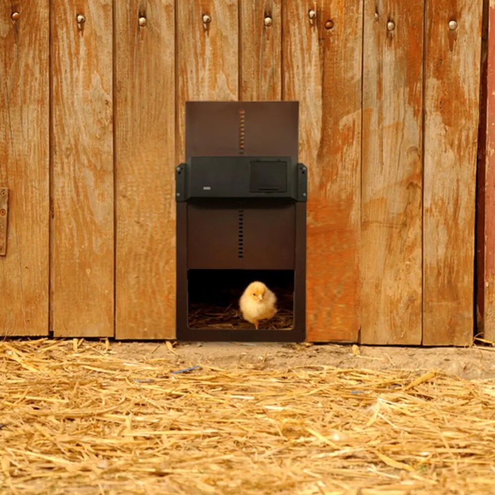 FeatherGate™ - Reclaim Your Mornings and Peace of Mind - Image 7